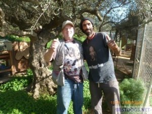 Norman and Nikos